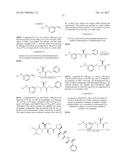 IGF-1R ANTIBODY-DRUG-CONJUGATE AND ITS USE FOR THE TREATMENT OF CANCER diagram and image