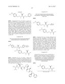 IGF-1R ANTIBODY-DRUG-CONJUGATE AND ITS USE FOR THE TREATMENT OF CANCER diagram and image