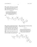 IGF-1R ANTIBODY-DRUG-CONJUGATE AND ITS USE FOR THE TREATMENT OF CANCER diagram and image