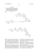 IGF-1R ANTIBODY-DRUG-CONJUGATE AND ITS USE FOR THE TREATMENT OF CANCER diagram and image