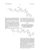 ANTIBODY-DRUG-CONJUGATE AND ITS USE FOR THE TREATMENT OF CANCER diagram and image