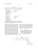 ANTIBODY-DRUG-CONJUGATE AND ITS USE FOR THE TREATMENT OF CANCER diagram and image