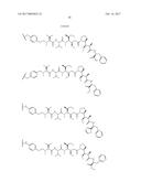 ANTIBODY-DRUG-CONJUGATE AND ITS USE FOR THE TREATMENT OF CANCER diagram and image