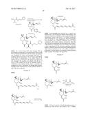 Oxaspiro[2.5]Octane Derivatives and Analogs diagram and image