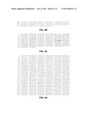 METHOD FOR IDENTIFYING NOVEL MINOR HISTOCOMPATIBILITY ANTIGENS diagram and image