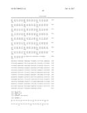 METHOD FOR IDENTIFYING NOVEL MINOR HISTOCOMPATIBILITY ANTIGENS diagram and image