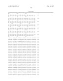 METHOD FOR IDENTIFYING NOVEL MINOR HISTOCOMPATIBILITY ANTIGENS diagram and image