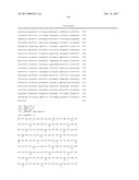 METHOD FOR IDENTIFYING NOVEL MINOR HISTOCOMPATIBILITY ANTIGENS diagram and image