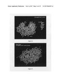 AMYLOID Precursor Protein (APP) Based .beta.-Secretase Inhibitor Peptides,     and Methods of Use diagram and image