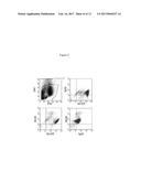 ANTIBODIES AND PROCESSES FOR PREPARING THE SAME diagram and image