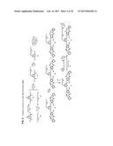 CYTOTOXIC BENZODIAZEPINE DERIVATIVES diagram and image