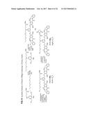 CYTOTOXIC BENZODIAZEPINE DERIVATIVES diagram and image