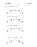 CYTOTOXIC BENZODIAZEPINE DERIVATIVES diagram and image