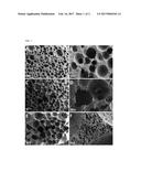 FOAMED POLYURETHANE POLYMERS FOR THE REGENERATION OF CONNECTIVE TISSUE diagram and image