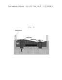 METHOD FOR MASS CULTURING PHOTOSYNTHETIC MICROALGAE BY ADDITIONALLY     SUPPLYING ENVIRONMENTAL WATER diagram and image