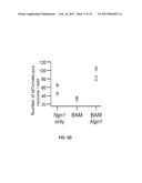 CONVERSION OF SOMATIC CELLS INTO NOCICEPTORS, AND METHODS OF USE THEREOF diagram and image