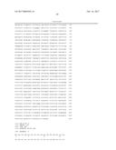 CONVERSION OF SOMATIC CELLS INTO NOCICEPTORS, AND METHODS OF USE THEREOF diagram and image