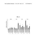 METHOD FOR INDUCING ECTODERMAL DIFFERENTIATION OF EMBRYOID BODIES DERIVED     FROM HUMAN PLURIPOTENT STEM CELLS BY CXCR2 STIMULATION diagram and image