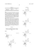 CROSSLINKED NUCLEOSIDE AND NUCLEOTIDE diagram and image