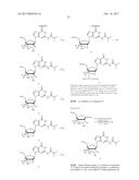 CROSSLINKED NUCLEOSIDE AND NUCLEOTIDE diagram and image