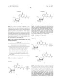 CROSSLINKED NUCLEOSIDE AND NUCLEOTIDE diagram and image