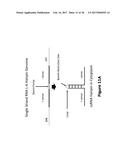 RECOMBINANT RNA PARTICLES AND METHODS OF PRODUCING PROTEINS diagram and image