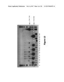 RECOMBINANT RNA PARTICLES AND METHODS OF PRODUCING PROTEINS diagram and image