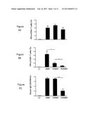 CHIMPANZEE ADENOVIRAL VECTOR-BASED FILOVIRUS VACCINES diagram and image