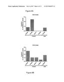 CHIMPANZEE ADENOVIRAL VECTOR-BASED FILOVIRUS VACCINES diagram and image