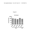 CHIMPANZEE ADENOVIRAL VECTOR-BASED FILOVIRUS VACCINES diagram and image