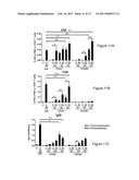 CHIMPANZEE ADENOVIRAL VECTOR-BASED FILOVIRUS VACCINES diagram and image