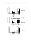 CHIMPANZEE ADENOVIRAL VECTOR-BASED FILOVIRUS VACCINES diagram and image