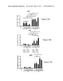 CHIMPANZEE ADENOVIRAL VECTOR-BASED FILOVIRUS VACCINES diagram and image