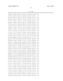 CHIMPANZEE ADENOVIRAL VECTOR-BASED FILOVIRUS VACCINES diagram and image