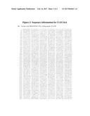 Genetic Alterations on Chromosome 16 and Methods of Use Thereof for the     Diagnosis and Treatment of Type 1 Diabetes diagram and image