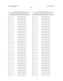 Genetic Alterations on Chromosome 16 and Methods of Use Thereof for the     Diagnosis and Treatment of Type 1 Diabetes diagram and image