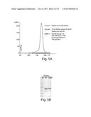 METHODS AND COMPOSITIONS FOR CELL-PROLIFERATION-RELATED DISORDERS diagram and image