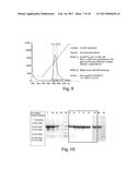 METHODS AND COMPOSITIONS FOR CELL-PROLIFERATION-RELATED DISORDERS diagram and image