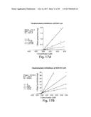 METHODS AND COMPOSITIONS FOR CELL-PROLIFERATION-RELATED DISORDERS diagram and image