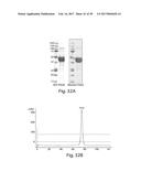 METHODS AND COMPOSITIONS FOR CELL-PROLIFERATION-RELATED DISORDERS diagram and image