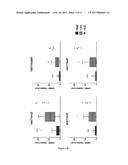 NEW BIOMARKER FOR AML diagram and image