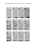 Methods of Detecting Signatures of Disease or Conditions in Bodily Fluids diagram and image