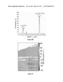 POLARIZATION-SENSITIVE SPECTRAL INTERFEROMETRY diagram and image