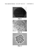 METHOD FOR GUIDING CELL SPREADING IN AUTOMATED CYTOGENETIC ASSAYS diagram and image