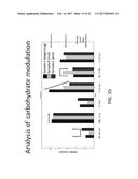 SYSTEM AND METHOD FOR MONITORING THE HEALTH OF DIALYSIS PATIENTS diagram and image