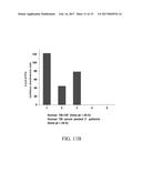 NEURAL PROTEINS AS BIOMARKERS FOR NERVOUS SYSTEM INJURY AND OTHER NEURAL     DISORDERS diagram and image