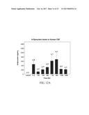 NEURAL PROTEINS AS BIOMARKERS FOR NERVOUS SYSTEM INJURY AND OTHER NEURAL     DISORDERS diagram and image