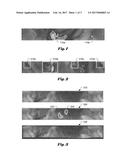 Reconstruction with Object Detection for Images Captured from a Capsule     Camera diagram and image