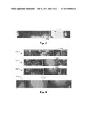 Reconstruction with Object Detection for Images Captured from a Capsule     Camera diagram and image