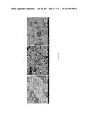 GRAPHENE-COATED POROUS SILICON-CARBON COMPOSITE AND METHOD OF     MANUFACTURING THE SAME diagram and image